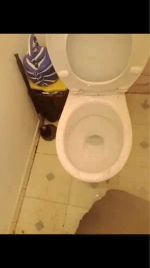 WC bouché puis débouché après intervention